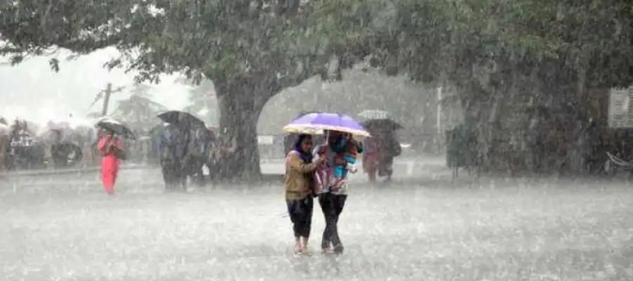 Punjab Rainfall Latest Prediction IMD, Why Punjab is not receiving rainfall despite prediction, Punjab Rainfall Prediction, Punjab Thunderstorm Prediction, Punjab Monsoon Update, Punjab Monsoon June 2025, Punjab- True Scoop