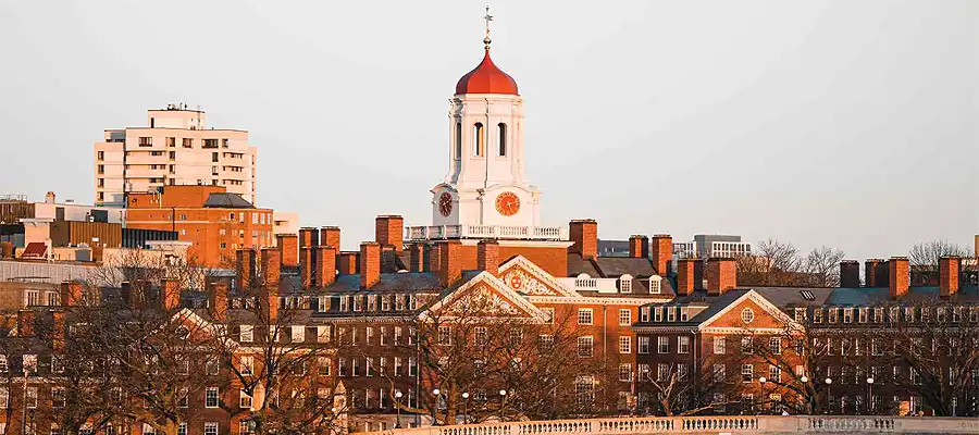 Harvard travel warning, Harvard new travel rules, Harvard University news, News today, STEM course, U.S. travel warning, India, Trending- True Scoop