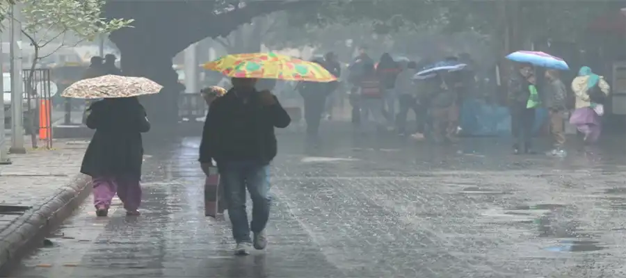 Punjab weather forecast, IMD rain alert, Monsoon 2025 Punjab, Heavy rainfall update, Punjab rain prediction, Dry spell in Punjab, July weather Punjab- True Scoop
