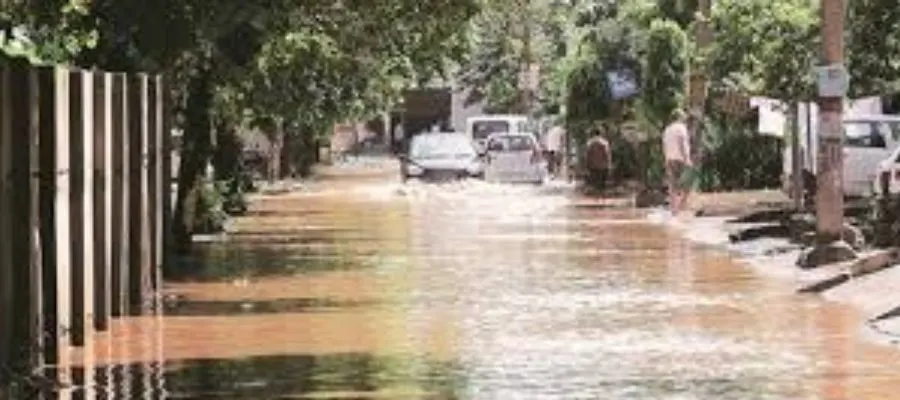Chandigarh rainfall news, Chandigarh rainfall water-logging, Sukhna Lake danger mark, Yellow alert issued in Chandigarh, waterlogging update Chandigarh- True Scoop