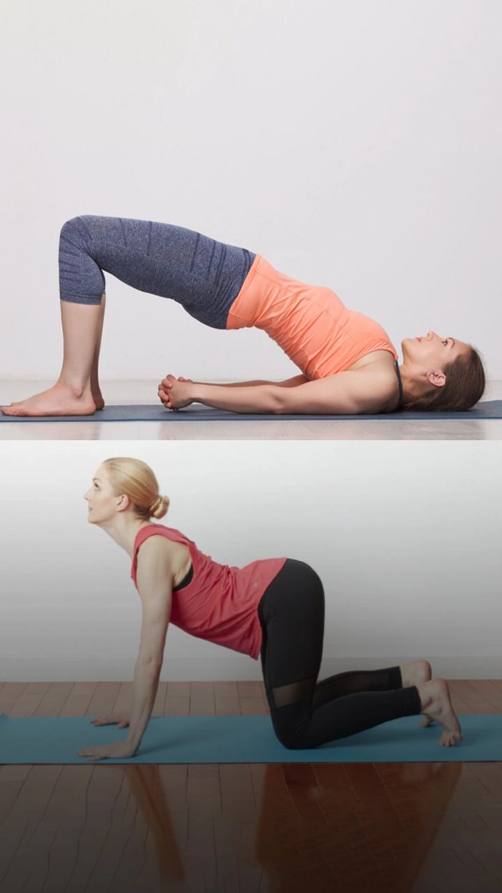 10 Beginner Friendly Yoga Poses to Relieve Back Pain and Strengthen Your  Back - Ergonomic Trends