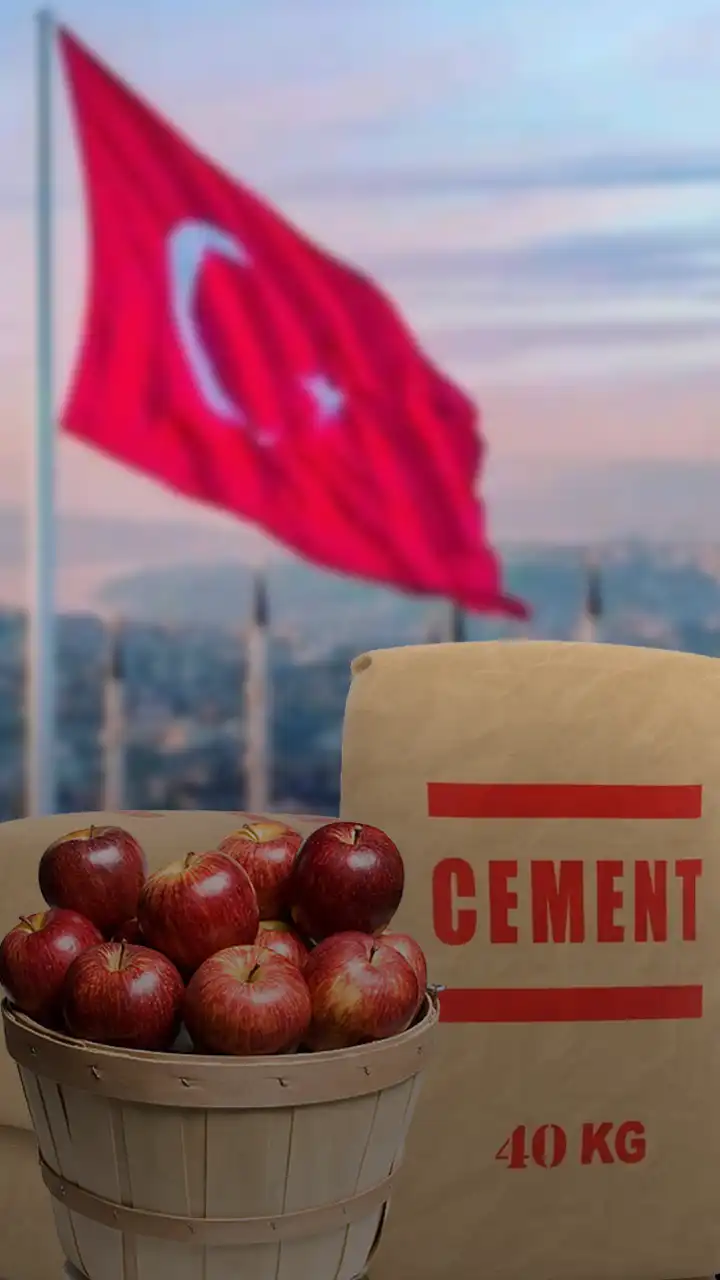Turkey Products,Turkey Products in India,Boycott Turkey,List of Turkey Products in India,List of products India imports Turkey,Turkey India Trade | 6 Items That India Imports From Turkey